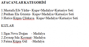 ustad-satranc-kurtulus